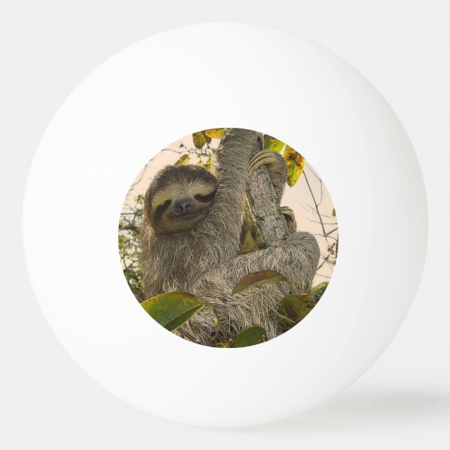 sloth Ping-Pong ball (Front)