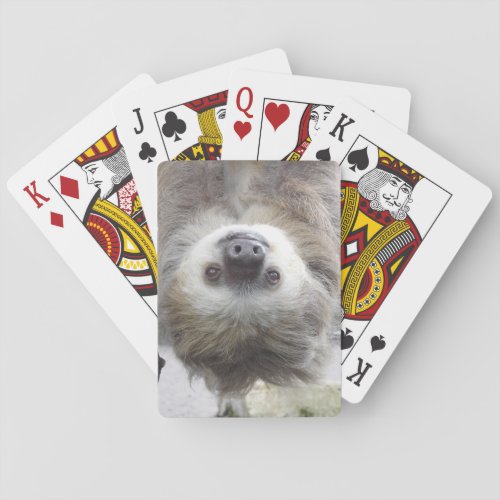 Sloth Playing Cards