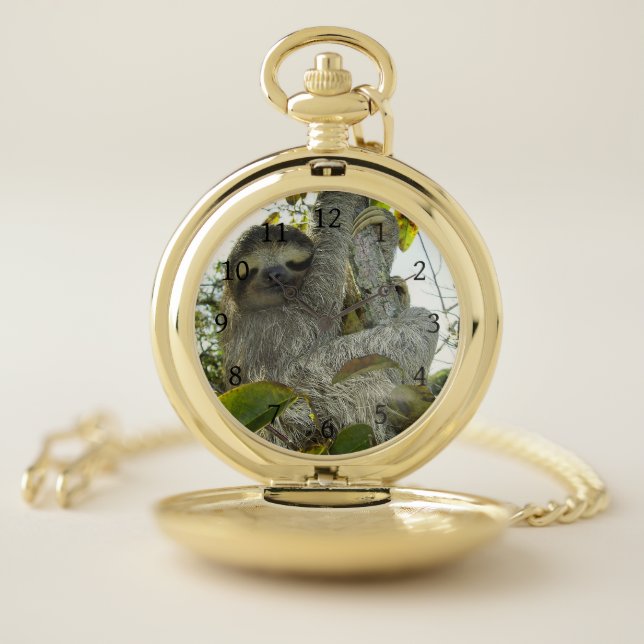 Sloth Pocket Watch (Inside)