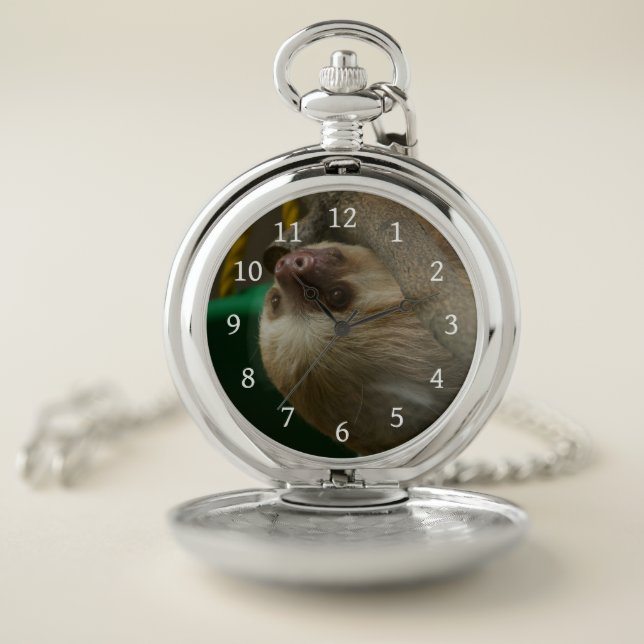 Sloth Pocket Watch (Inside)