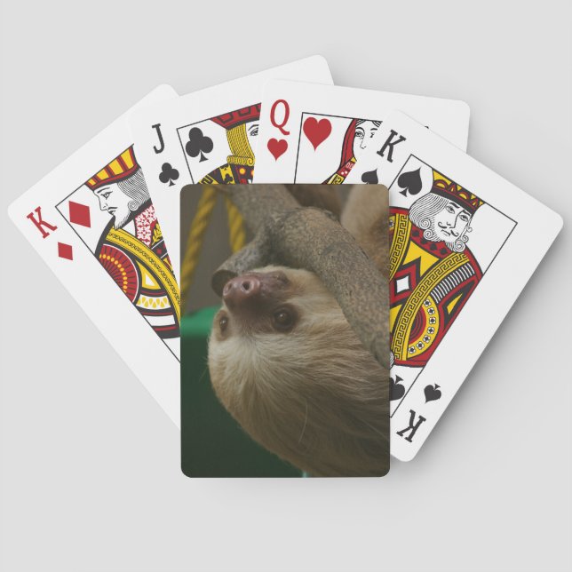 Sloth Poker Cards (Back)