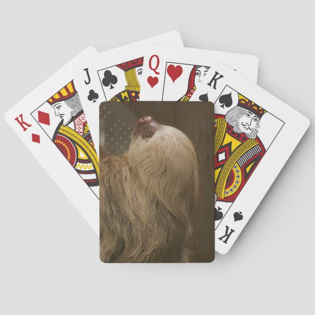 Sloth Poker Cards (Back)