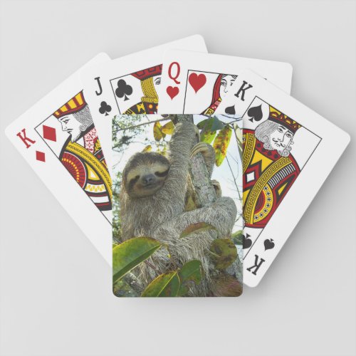Sloth Poker Cards