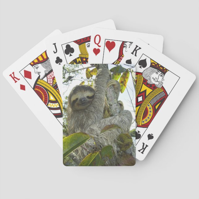 Sloth Poker Cards (Back)