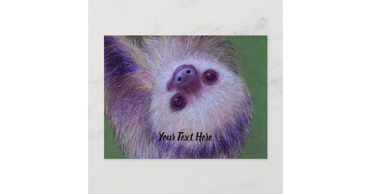 Sloth Postcard | Zazzle