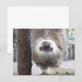 Sloth Postcard | Zazzle