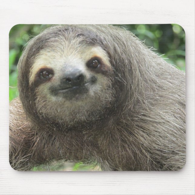 Sloth profile image mouse pad (Front)
