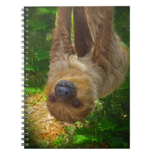 Sloth Rainforest Gifts Notebook