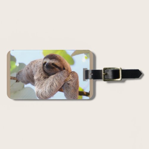 Sloth resting on tree branch luggage tag
