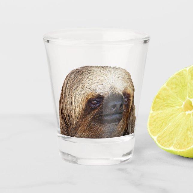 Sloth Shot Glass (Front)