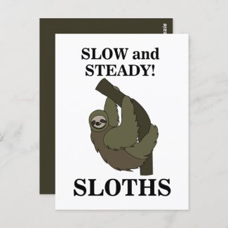 Sloth Sloths Slow And Steady Funny Sloth