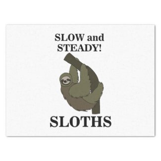 Sloth Sloths Slow And Steady Funny Sloth