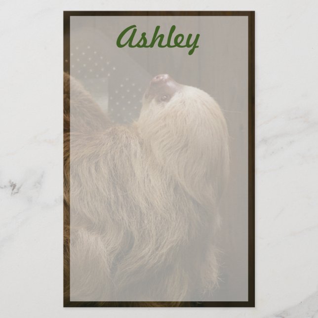 Sloth Stationery (Front)