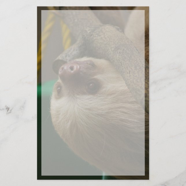Sloth Stationery (Front)