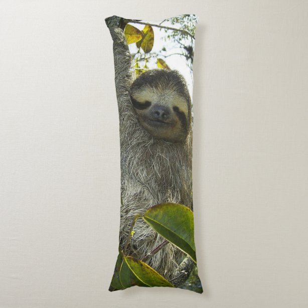 the big one gray sloth backrest pillow