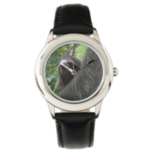 Sloth Watch