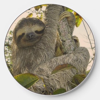 Sloth  Wireless Charger by MehrFarbeImLeben at Zazzle