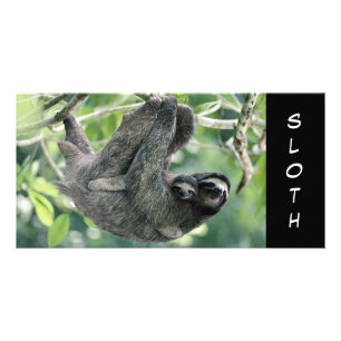 Sloth with baby card