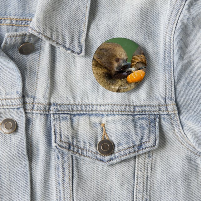 Sloth with Pumpkin Button (In Situ)