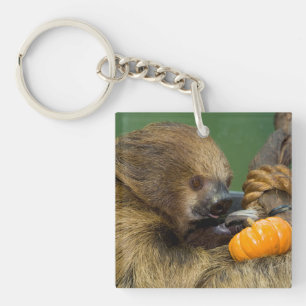 Sloth with Pumpkin Keychain