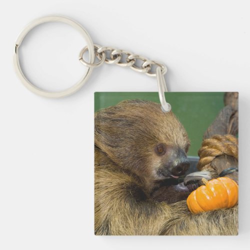 Sloth with Pumpkin Keychain