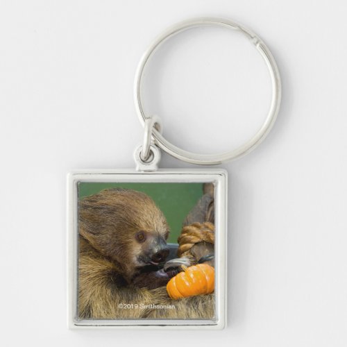 Sloth with Pumpkin Keychain