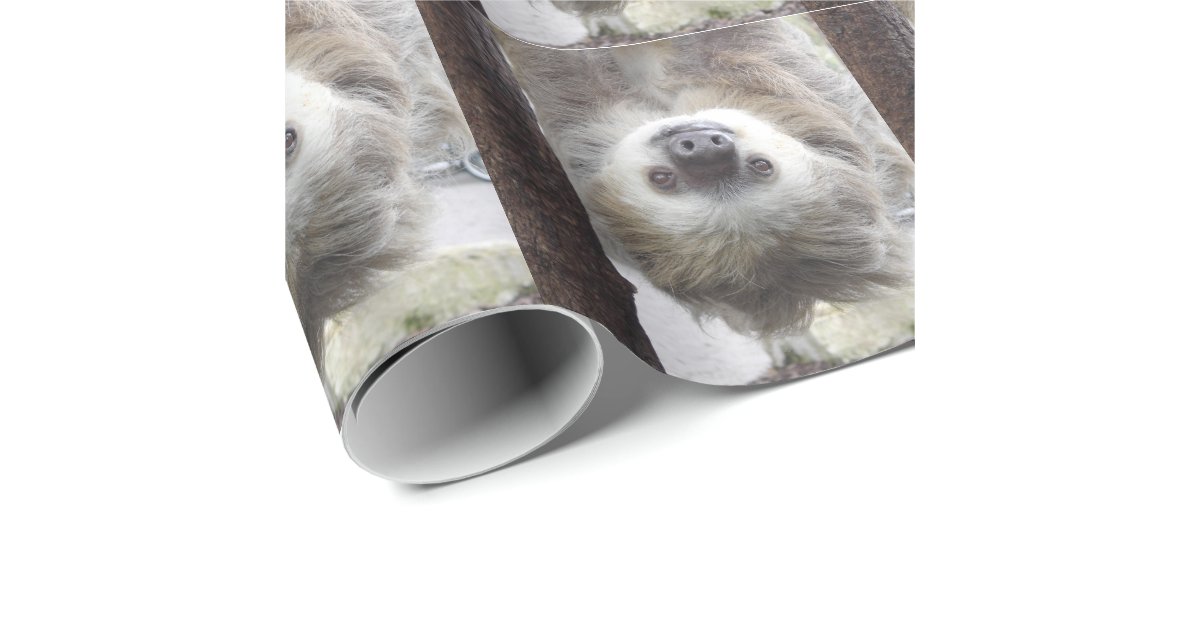 Sloth Wrapping Paper | Zazzle