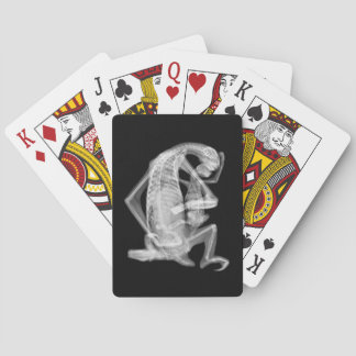 Sloth Xray Love Poker Cards