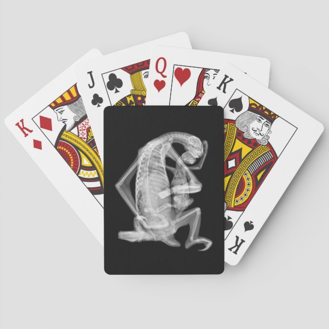 Sloth Xray Love Poker Cards (Back)