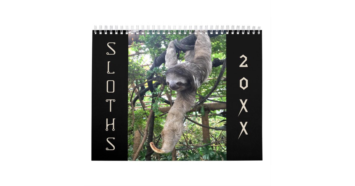 Sloths Calendar | Zazzle