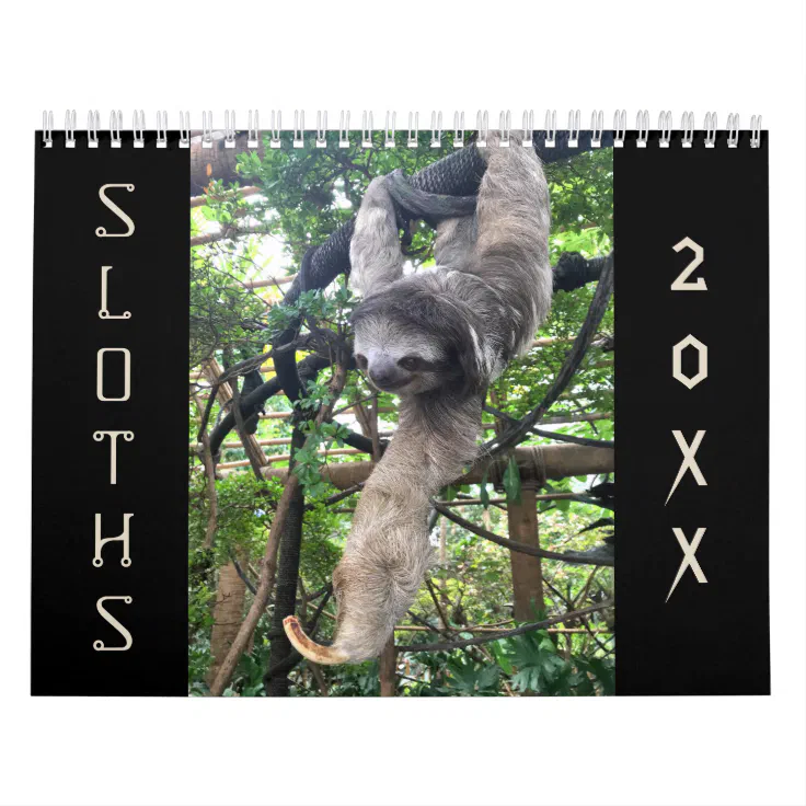 Sloths Calendar | Zazzle