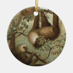 Sloths In Trees Ceramic Ornament
