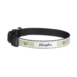 Sloughis Painting - Cute Original Dog Art Pet Collar