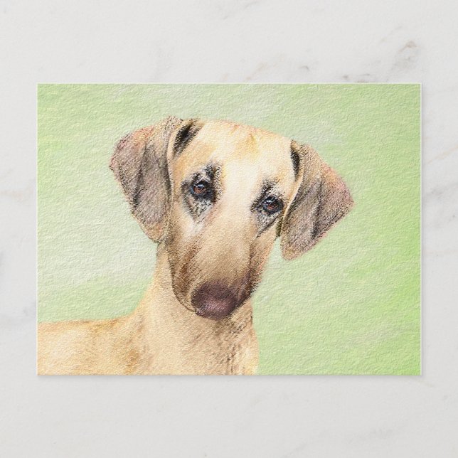 Sloughis Painting - Cute Original Dog Art Postcard (Front)