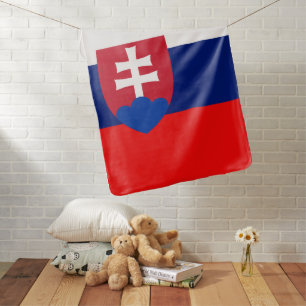 Slovak flag baby blanket