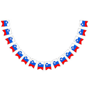 Slovenia Flag