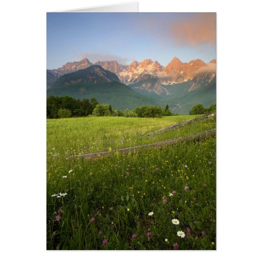 Slovenia Meadow Cards (Front)
