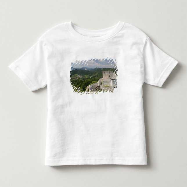 SLOVENIA, STAJERSKA Styria), Celje: Town View Toddler T-shirt (Front)