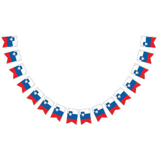 Slovenian flag banner