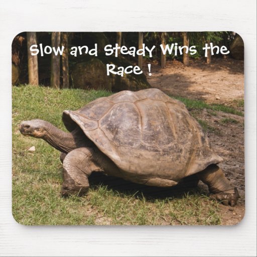 Slow and Steady Turtle Mouse Pad | Zazzle