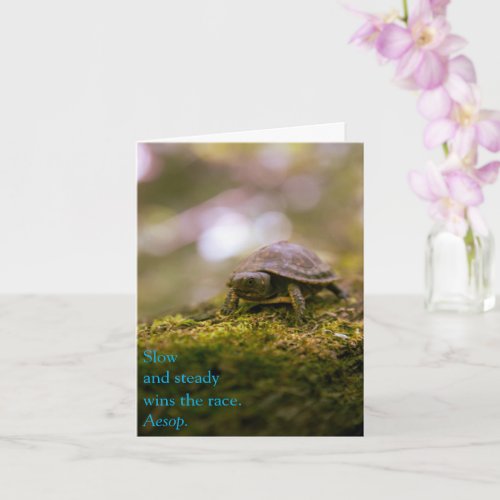 Slow and Steady Wins the Race _ Aesop Card