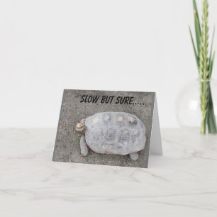 SLOW BUT SURE TURTLE SENDS *70th BIRTHDAY* WISHES Card