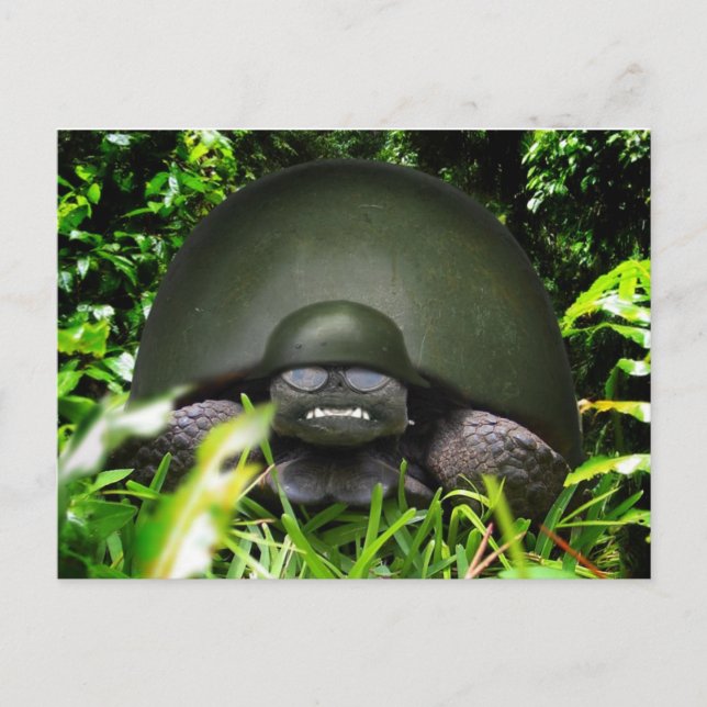 Slow Commando Postcard (Front)