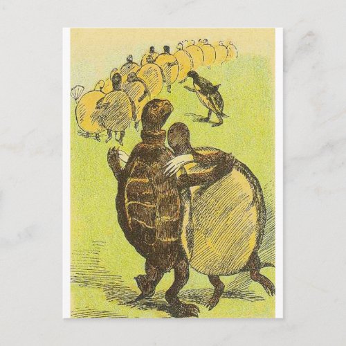 Slow Dance Turtles Postcard