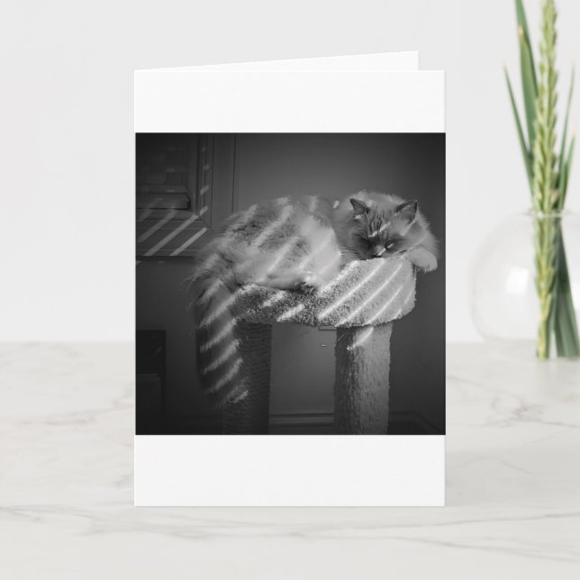 Slow Days, card (Front)