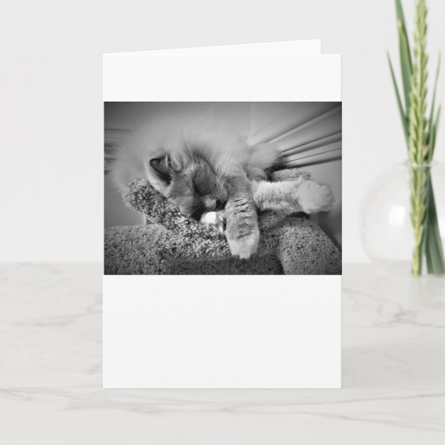 Slow Days, card (Front)