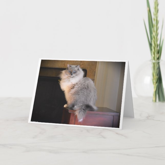 Slow Days, card (Front)