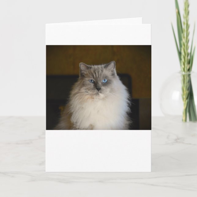 Slow Days, card (Front)