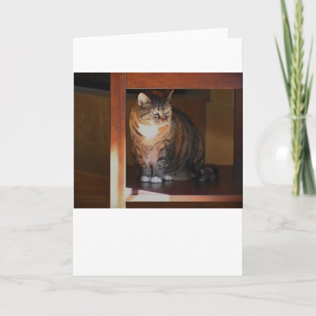 Slow Days, card (Front)