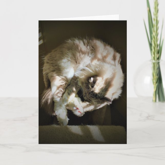 Slow Days, card (Front)